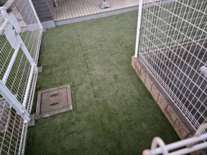 天然芝から人工芝へ