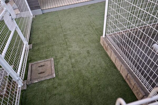 天然芝から人工芝へ